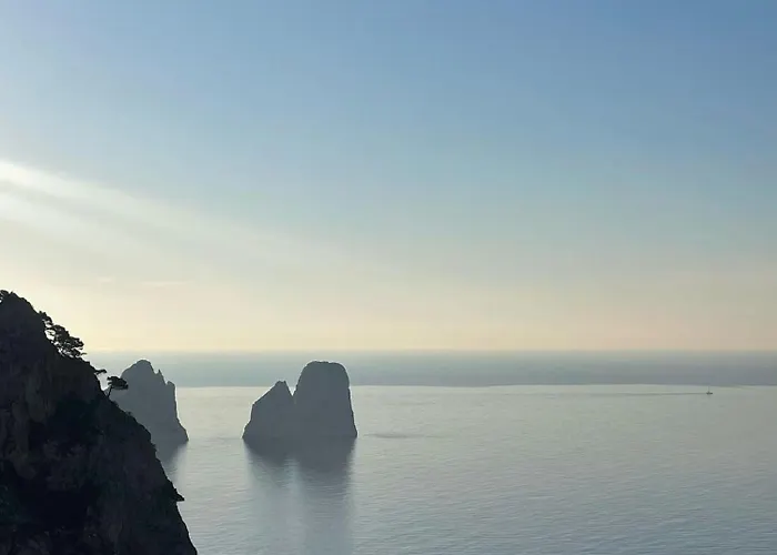 Essence One By Sweet Pensión Capri